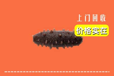 收购资讯:鸠江区回收海参