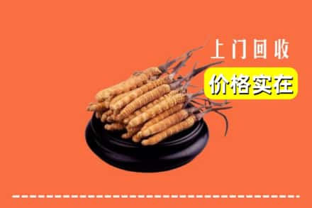 鸠江区回收冬虫夏草